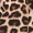 2 in 1 Leopard Print Jumpsuit - Image 6