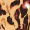 2 in 1 Leopard Print Wrap Top Jumpsuit - Image 6