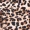 Animal Print Bodycon Cold Shoulder Midi Dress - Image 5