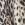 Animal Print Cape - Image 6