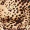 Animal Print Frill Dress - Image 8