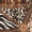 Animal Print High Neck Skater Dress - Image 6