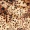 Animal Print Puff Sleeve Top - Image 7