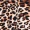 Animal Print Wrap Dress - Image 5
