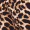 Animal Print Wrap Midi Dress - Image 5