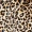 Animal Print Wrap-Style Playsuit - Image 6