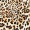 Animal Printed Maxi Dress With Tie Waist - Image 5