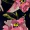 Black And Pink Lace Embroidered Frill High Low Midi Dress - Image 5