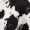Black And Stone Abstract Print Wrap Midi Dress - Image 7