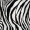 Black And White Zebra Print Frill Front Tie Waist Jumpsuit - Image 5