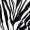 Black And White Zebra Print Pleat Sleeve Skater Dress - Image 5