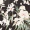 Black Floral Flute Sleeve Dress - Image 10
