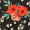 Black Floral High Neck Top - Image 6