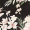 Black High Neck Floral Top - Image 6