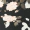 Black Printed Capped Sleeve Bodycon Dress - Image 5