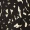 Black Printed Wrap Side Frill Dress - Image 6