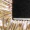 Black Wide Waist Belt With Giant Gold Buckle - Image 6