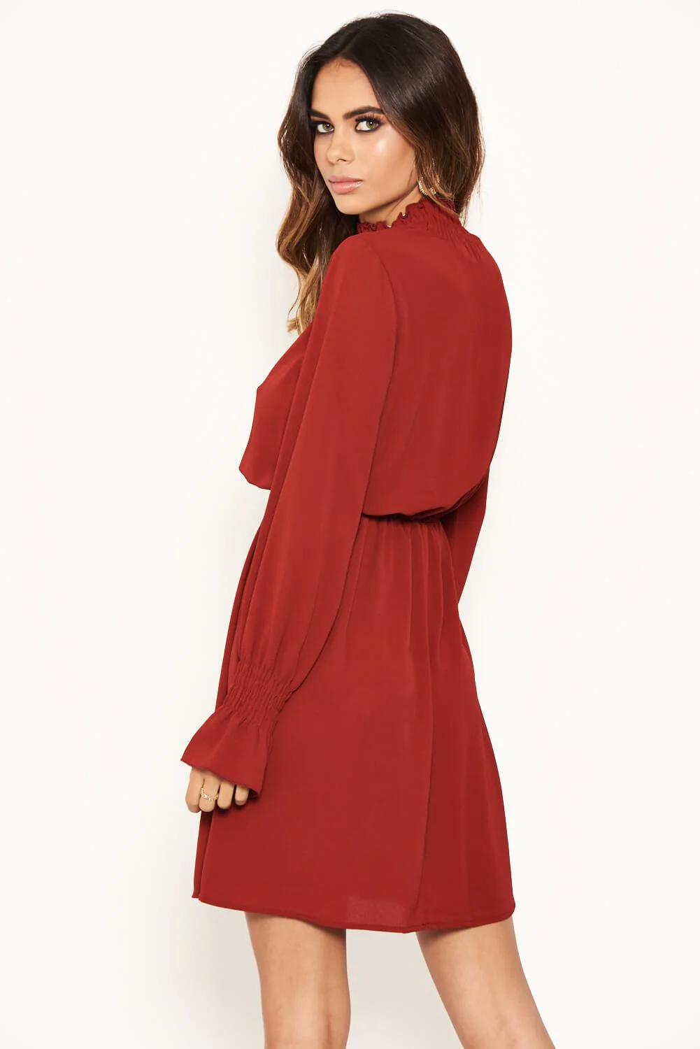 Brick High Neck Skater Dress - Image 3