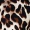 Brown Leopard Print Strappy Longline Waistcoat - Image 6