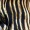 Brown Printed Bat Wing Wrap Top Jumpsuit - Image 5