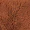 Brown Teddy Faux Fur Short Coat - Image 6
