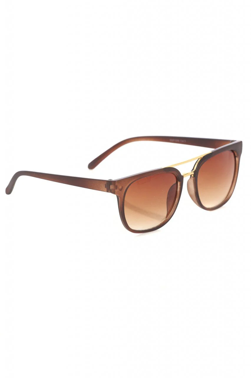 Brown Wayfarer Sunglasses