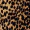Camel High Neck Animal Print Frill Hem Mini Dress - Image 6