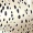 Cream And Black Spot Printed Flutter Sleeve Shirred Waist Top - Image 6