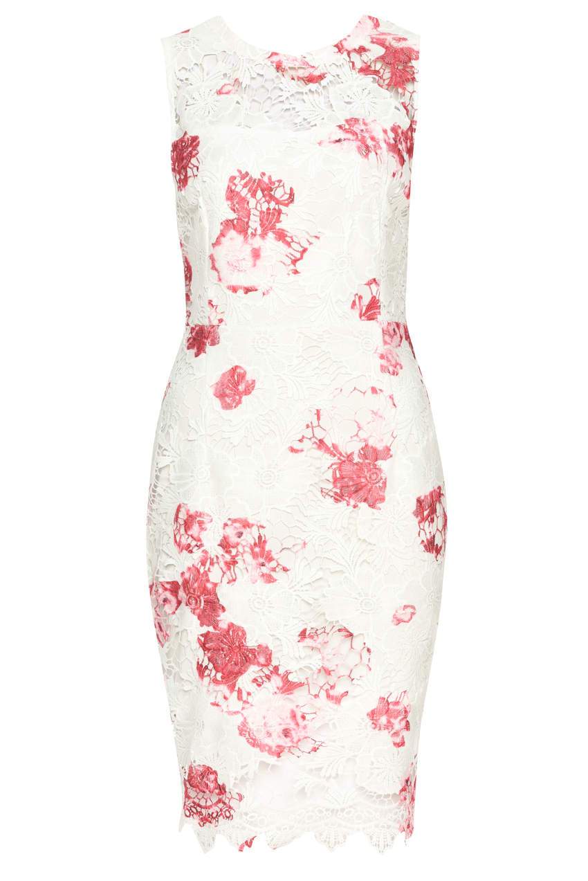 Cream and Pink Floral Lace Bodycon Dress - Image 4