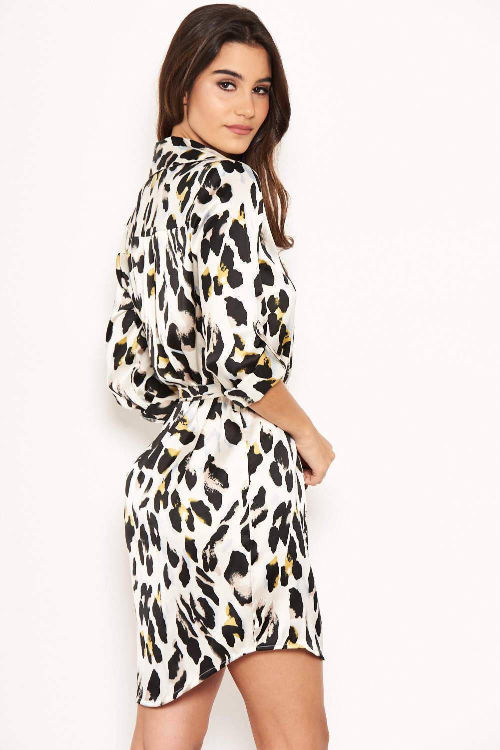 Cream Animal Print Shirt Dress - Image 3