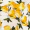 Cream Lemon Print Shirred Straps Button Detail Midi Dress - Image 6