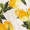 Cream Lemon Print Strappy Floaty Crop Top - Image 6