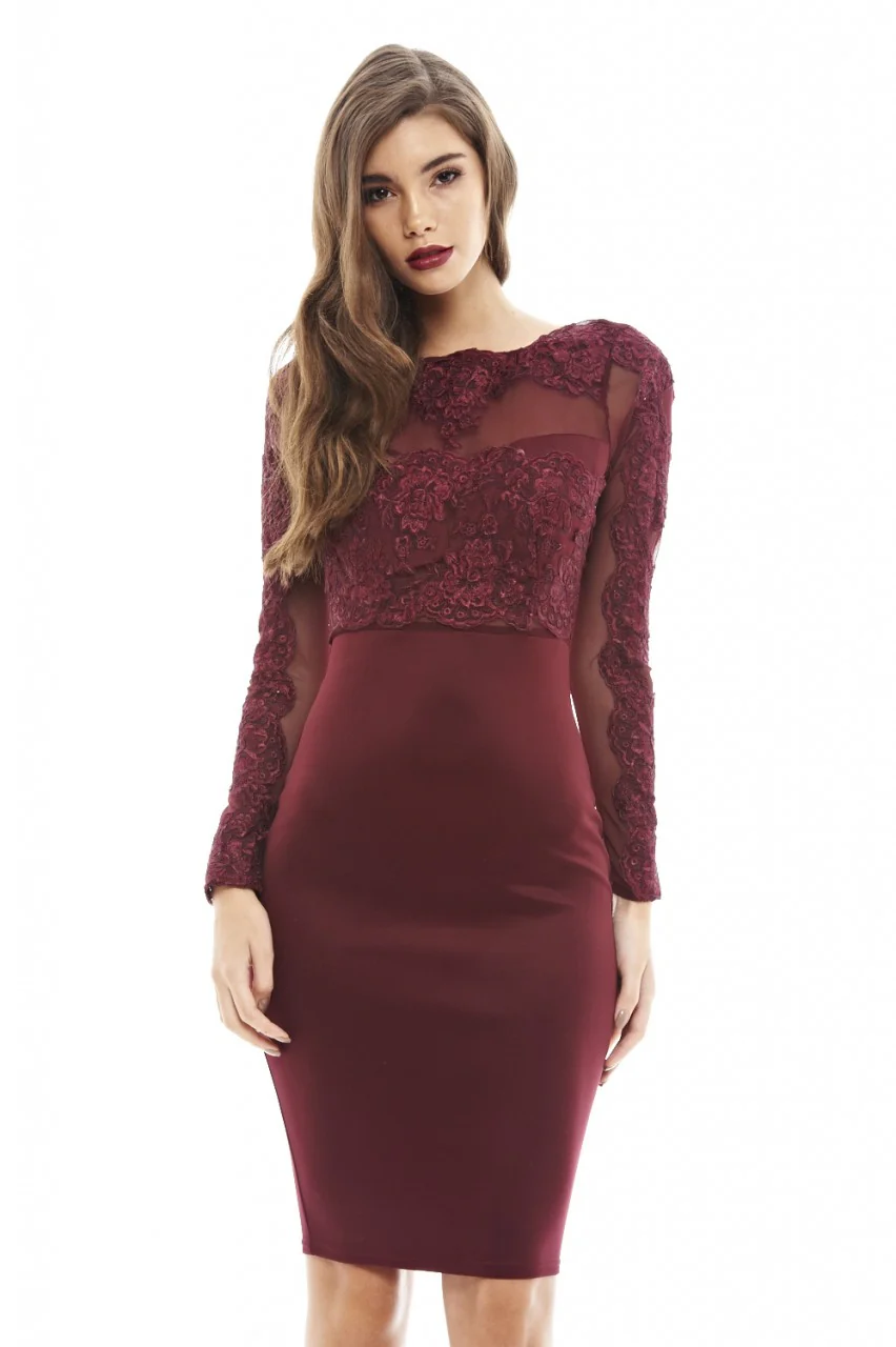 Crochet Mesh   Top Bodycon   Dress - Image 3