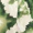 Green And Cream Marble Print Strap Detail Asymmetric Cut Out Midi Dress - Image 6