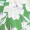 Green Floral Printed Batwing Mini Dress - Image 5