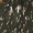 Green Printed High Neck Top - Image 6
