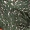 Green Printed Satin Wide Leg Jumpsuit - Image 6