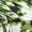 Green Printed Strappy Gathered Side Midi Dress - Image 6