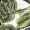 Khaki Scarf Print Tie Detail Shirt Dress - Image 5
