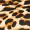 Leopard Print High Neck Bodysuit - Image 6
