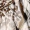 Multi Animal Print Tie Neck Shirred Waist Mini Dress - Image 6