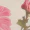 Multi Floral Print Racer Neck Crop Top - Image 6