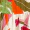 Multi Floral Print Shirred Waist Smock Midi Dress - Image 6