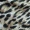 Multi Leopard Print Asymmetric Cut Out Midi Dress - Image 6