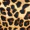 Multi Leopard Print Ruched Side Split Satin Midi Skirt - Image 6