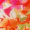 Multi Tropical Print Racer Neck Drawstring Waist Mini Dress - Image 6