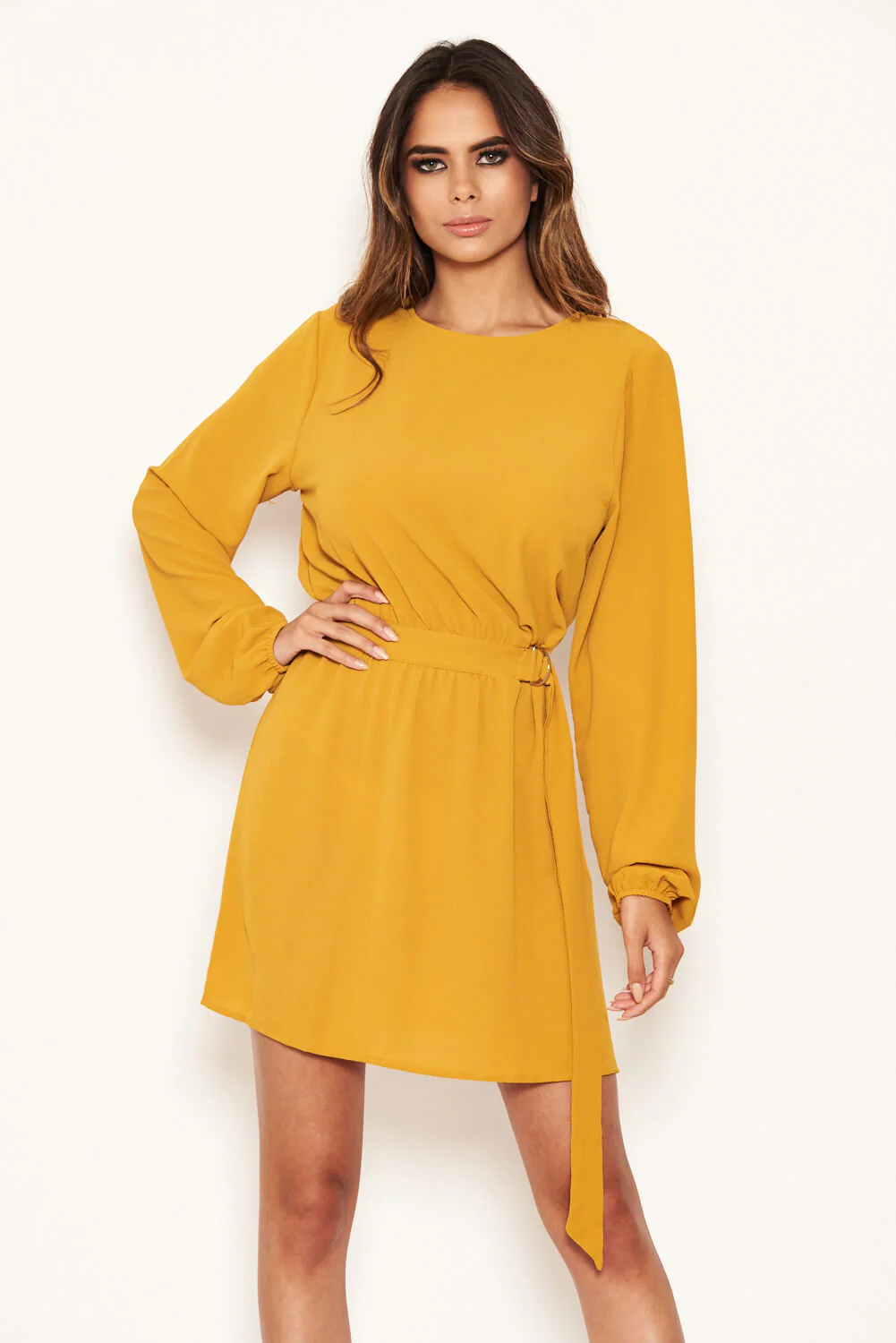 Mustard Long Sleeve Belted Day Dress - Image 6
