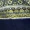 Navy And Green Scarf Print Wrap Bodysuit - Image 5