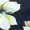 Navy Floral Print Halter Neck Dipped Hem Midi Dress - Image 6