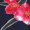 Navy Floral Ruffle Off The Shoulder Dress - Image 5